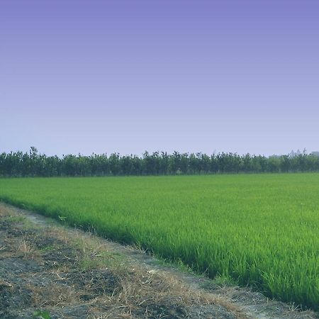 Green Village 1 Cần Thơ Zewnętrze zdjęcie