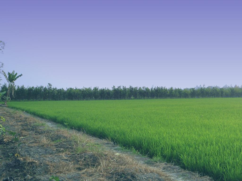 Green Village 1 Cần Thơ Zewnętrze zdjęcie