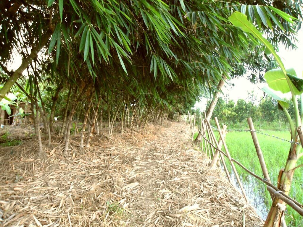 Green Village 1 Cần Thơ Zewnętrze zdjęcie